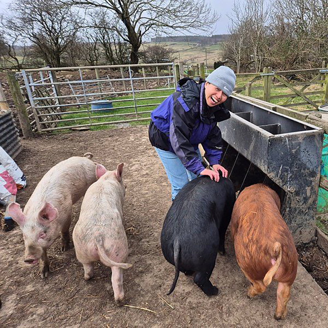 couples farm experience
